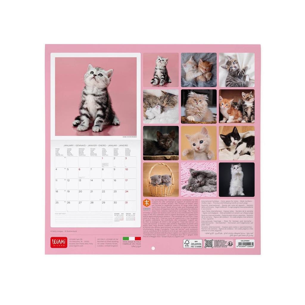 CALENDRIER CHAT 2027 [bnr:89d28a413a13]