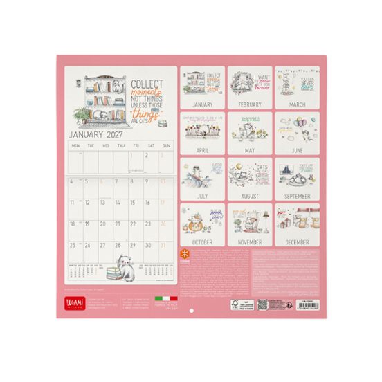 CALENDRIER CHAT 2027 [bnr:1e4690b0608c]