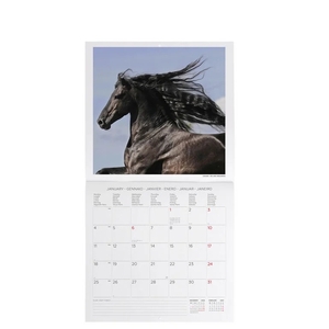 CALENDRIER CHEVAL 2027 [bnr:b9f71b0d4a93]