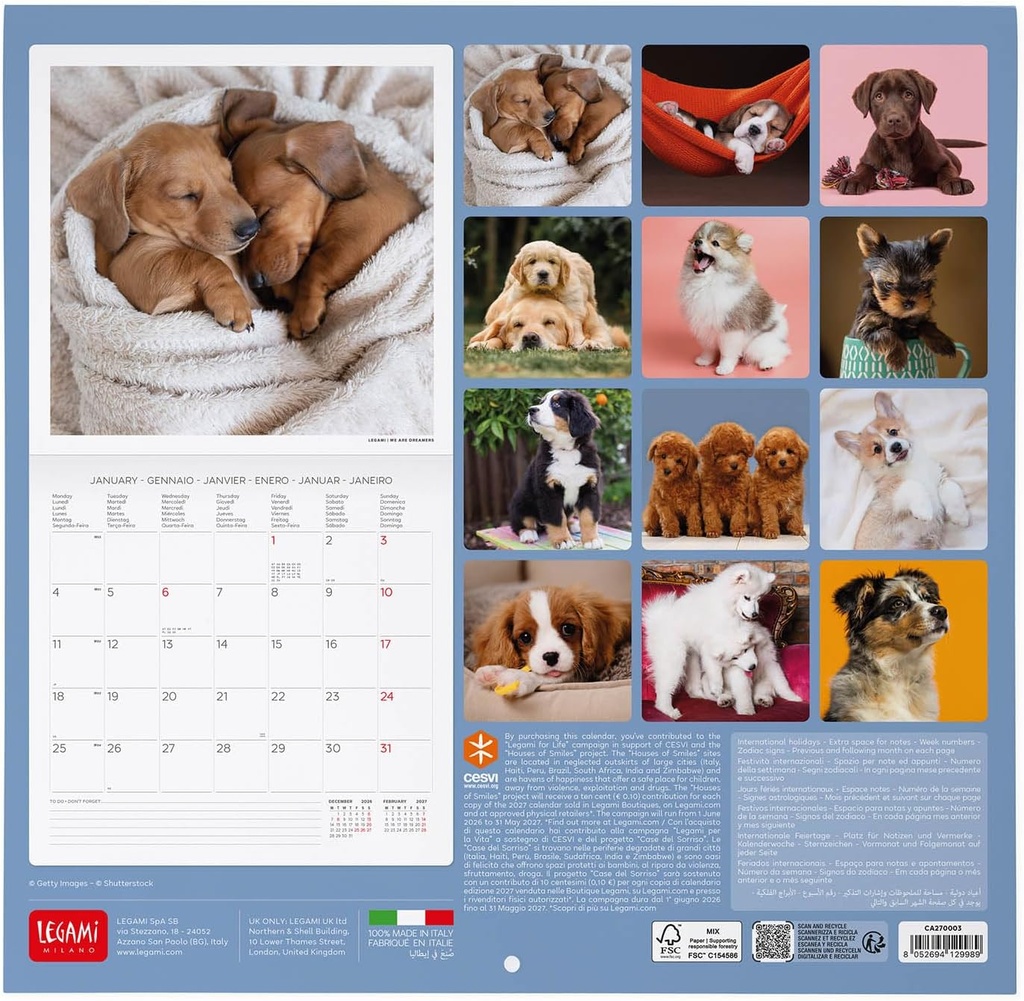 CALENDRIER CHIEN 2027 [bnr:20a89087ef94]