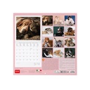 CALENDRIER MEILLEURS AMIS [bnr:b17ebe854aa8]