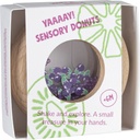 PETIT BOUM SENSORY DONUT AUBERGINE [bnr:671674e4dbd1]