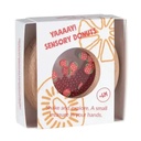 PETIT BOUM SENSORY DONUT FRAISES [bnr:e781179deff3]