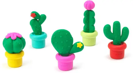 SET DE 5 GOMMES - CACTUS [bnr:96358d9038e9]