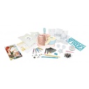 STUDIO BOUGIES - BUKI [bnr:f58d42b7b48f]