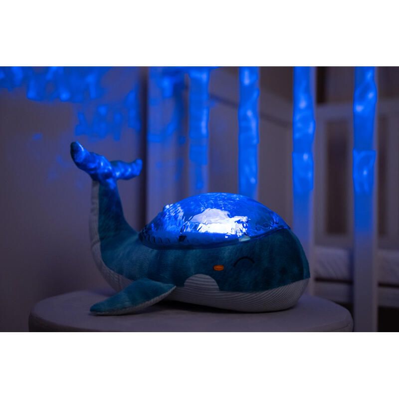 TRANQUI WHALE RECHARGEABLE [bnr:3385ee1ba700]