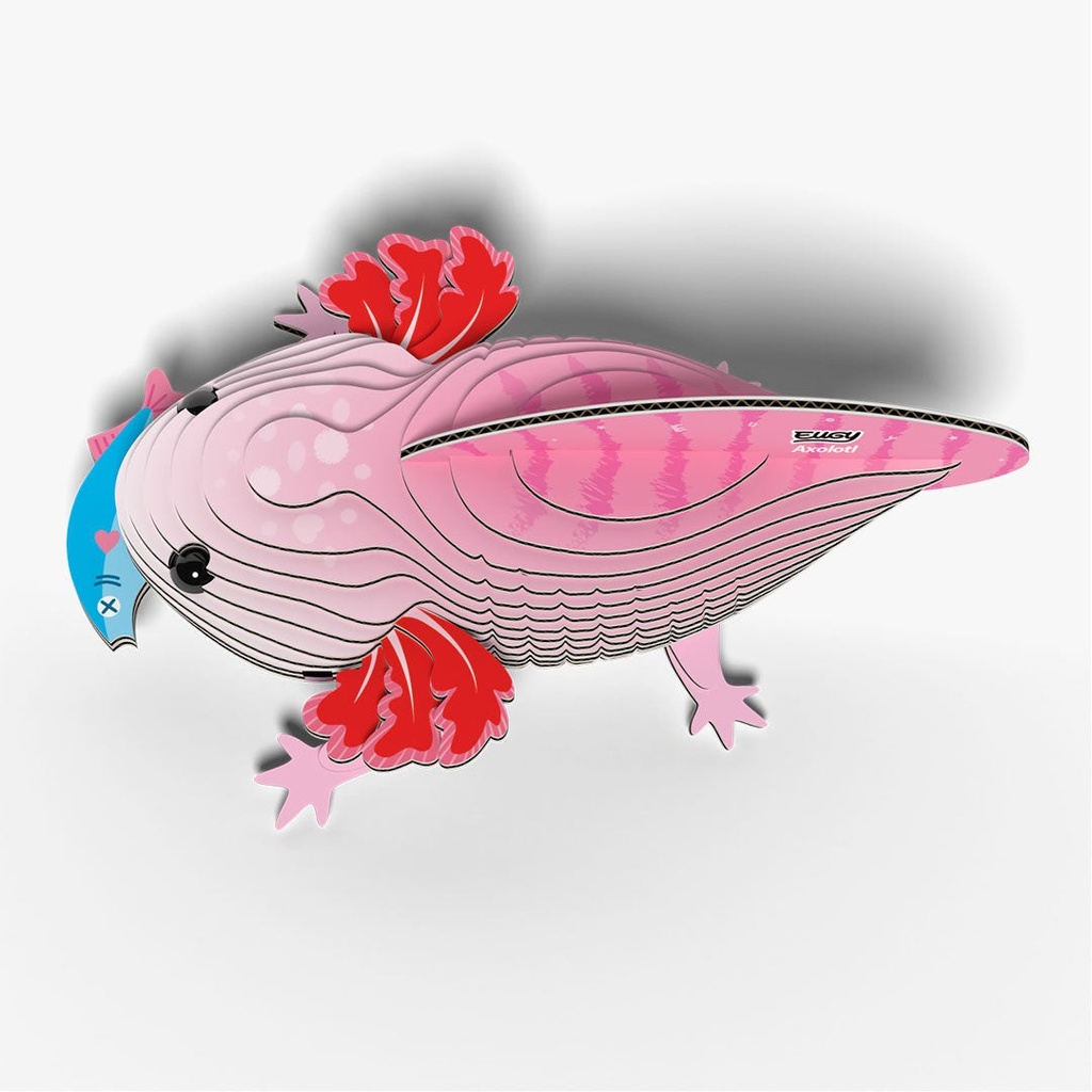 EUGY 3D - AXOLOTL – 3