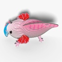 EUGY 3D - AXOLOTL – 3
