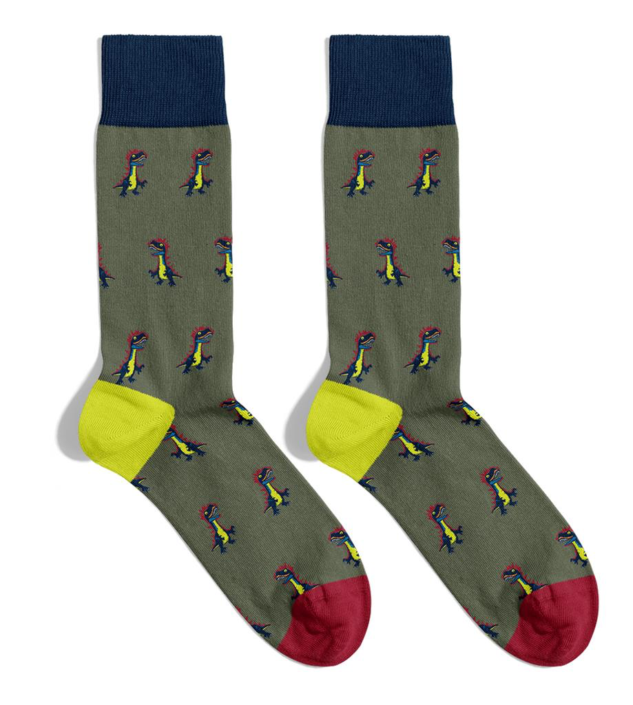 Chaussettes Adulte - Dino - Billy Brown