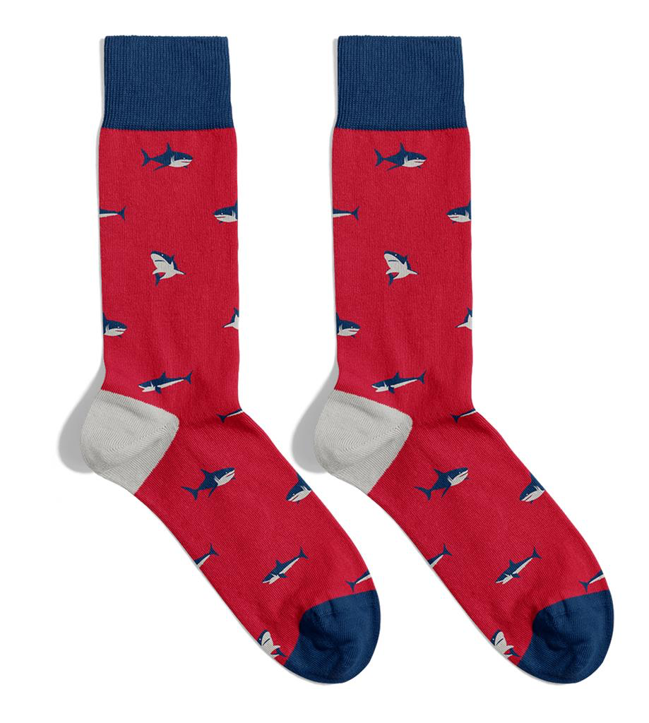 Chaussettes Adulte - Requin - Billy Brown