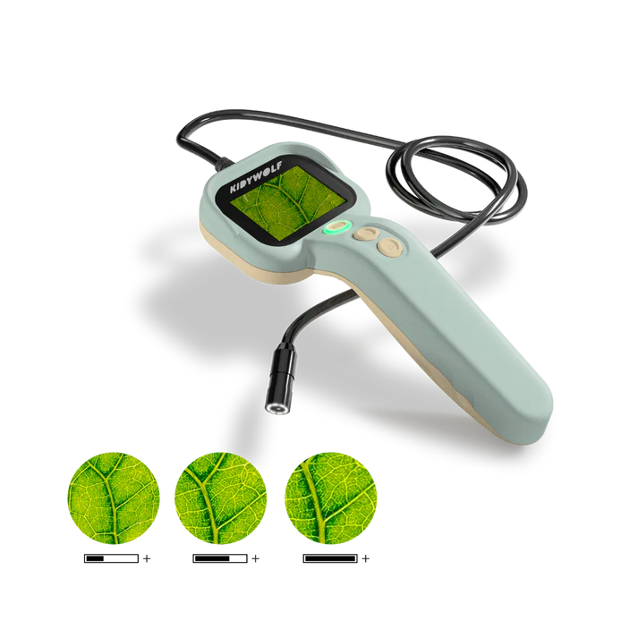 KIDYEXPLORE de Kidywolf