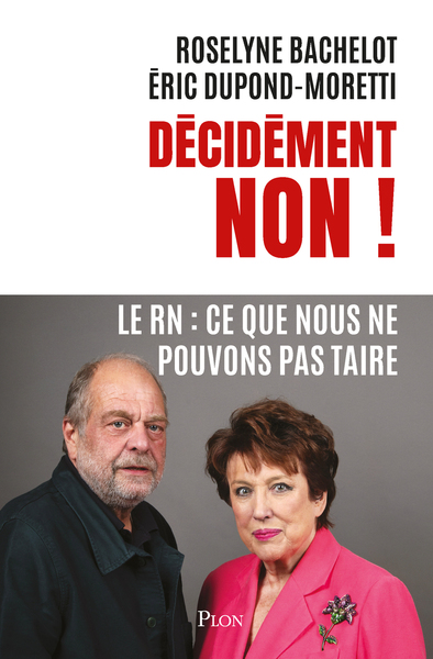 Décidément NON ! - Le RN : Ce que nous ne pouvons pas taire