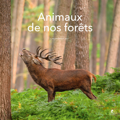 [9782809903072] Calendrier 2027 Animaux de nos forêts