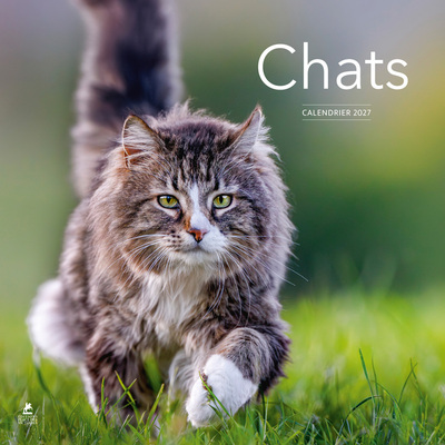 [9782809903089] Calendrier 2027 Chats
