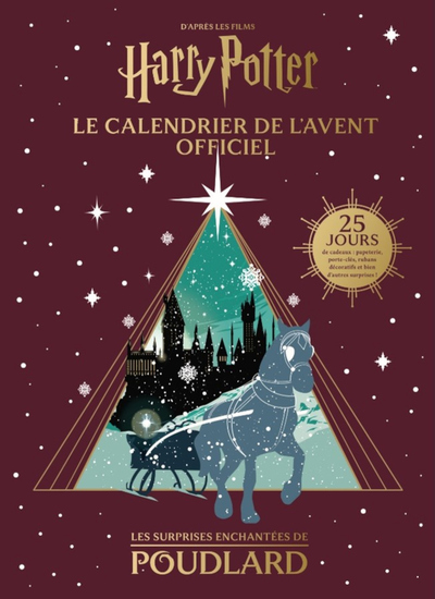 [9781972686010] Harry Potter - calendrier de l'avent