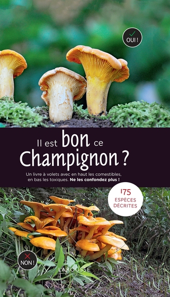 Il est bon ce champignon ?