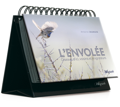 [9782874897252] L'Envolée