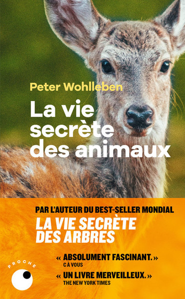 [9782493909305] La Vie secrète des animaux