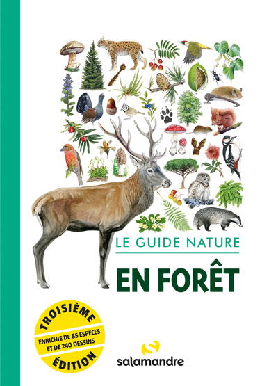 Le guide nature en forêt
