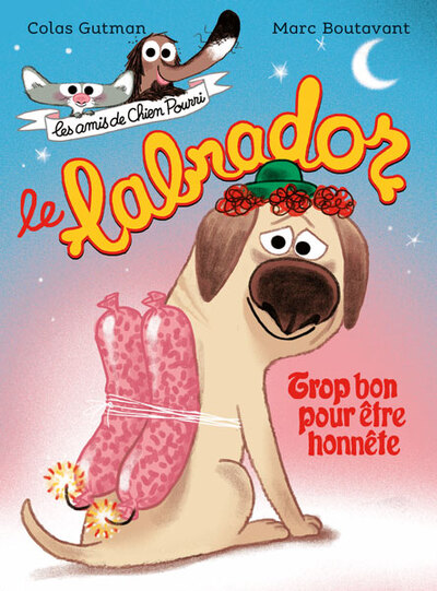 Le labrador