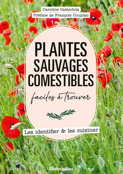 Plantes sauvages comestibles faciles à trouver