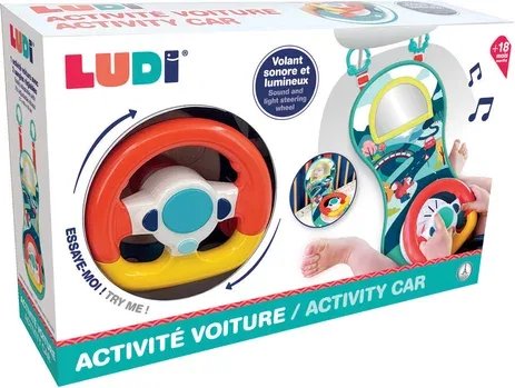 ACTIVITE DE VOITURE