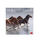 CALENDRIER CHEVAL 2027