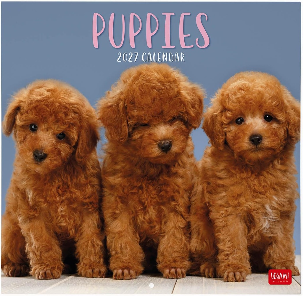 [8052694129989] CALENDRIER CHIEN 2027