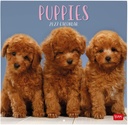 CALENDRIER CHIEN 2027