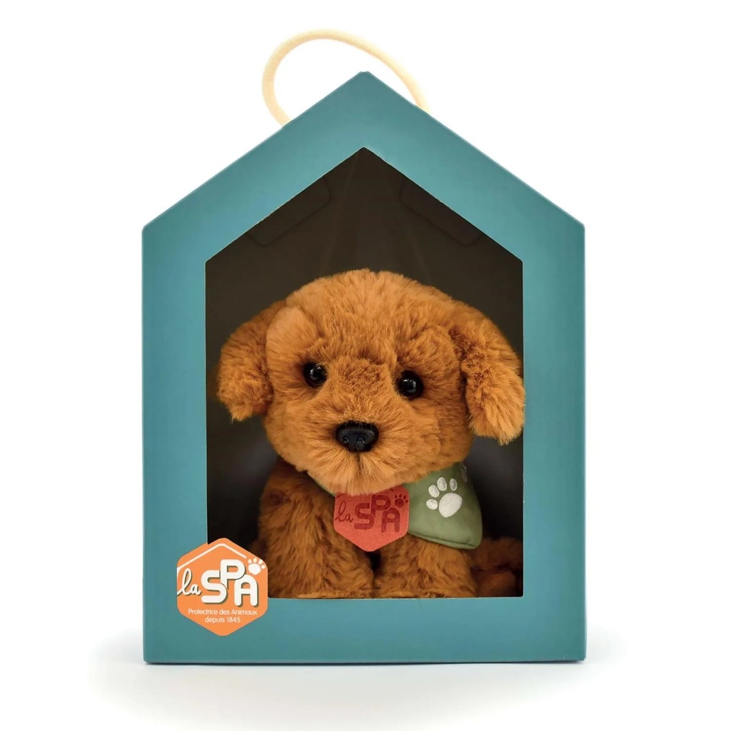 CHIEN BEIGE SPA