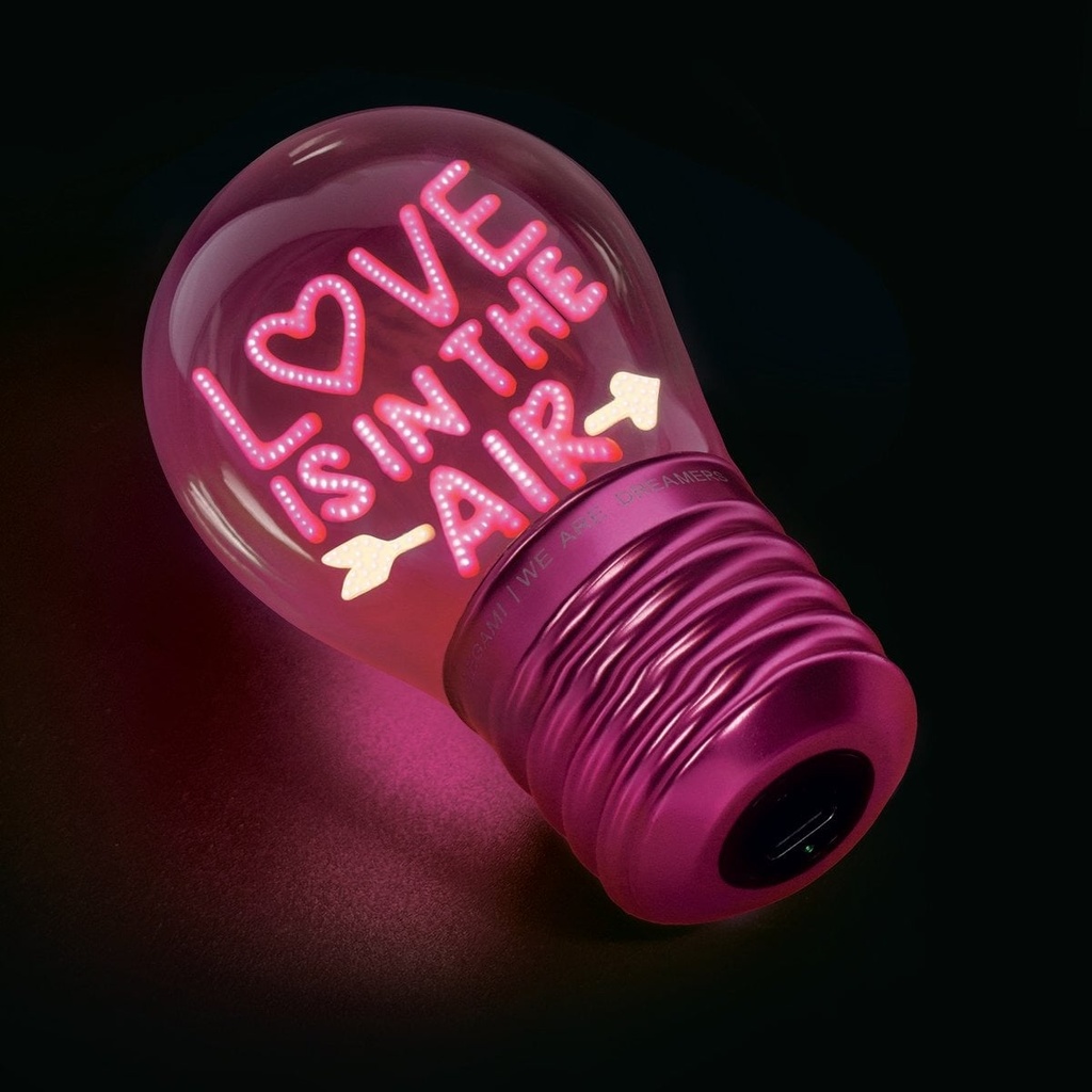 LAMPE BULBE _ LOVE IS IN TEH AIR