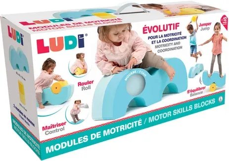 MODULES DE MOTRICITE LUDI