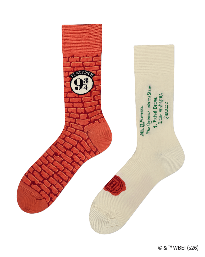 Chaussettes Harry Potter Pack Your Trunk