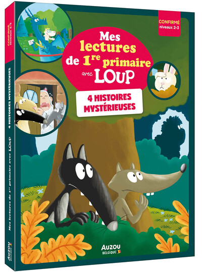 Quatre histoires mystérieuses - Niveau confirmé