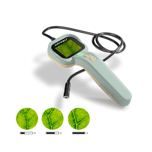 KIDYEXPLORE de Kidywolf